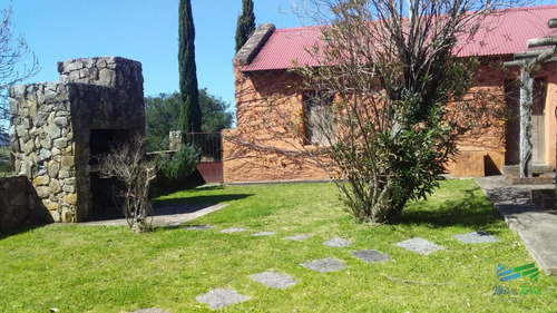 Muy Lindo Campo De Recreo Con Olivos A Pocos Mts De R.39 Y 1 Hora De Punta