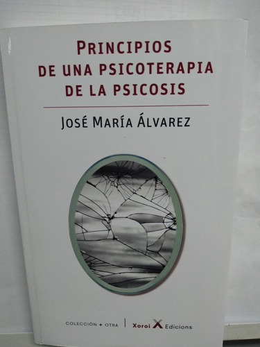 Principios De Una Psicoterapia De La Psicosis / Xoroi Ed.