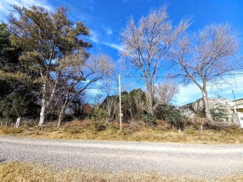 Imagen 5 de 5 de Lotes 556 Mts 2- Oportunidad !
