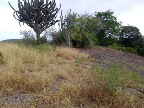 Chácara Top, Para Quem Busca Paz, E Lazer