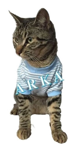 Playeras Para Gato