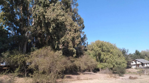 Parcela En Venta Bosque Santa Cecilia (95282)