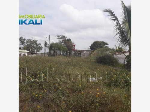 Imagen 3 de 12 de Terreno En Renta Anahuac