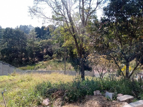 Imagem 1 de 3 de Chácara No Km 68 Da Castelo