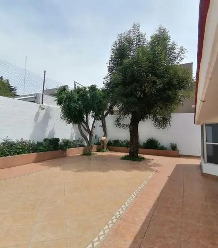 Bosques De Las Lomas. Casa En Renta De Un Solo Nivel