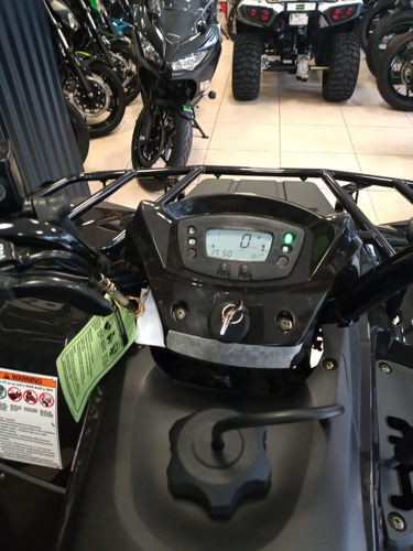 Imagen 10 de 15 de Kawasaki Brute Force 300// 4x2 Ahora 12 Y 18/no Honda Yamaha