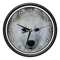 Comprar Signmission Samoyed Wall Clock Dog Doggie Pet Raza Regalo