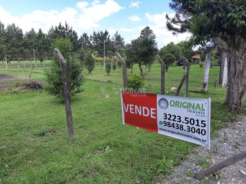 Imagem 17 de 17 de Chácara Para Venda - 10561.001