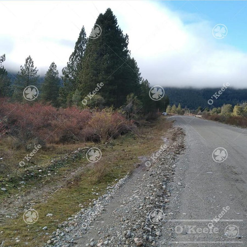 Imagen 4 de 17 de Chacra / Fracción En Venta En Patagonia Argentina - 12 Has Sobre Rio - Fly Fishing Pesca Con Mosca.