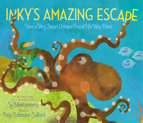 Inky's Amazing Escape: How A Very Smart Octopus Found His Way Home, De Montgomery, Sy. Editorial Paula Wiseman Books, Tapa Dura En Inglés