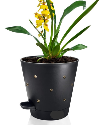 Maceta For Orquídeas Con Orificio For Trasplante, Maceta De