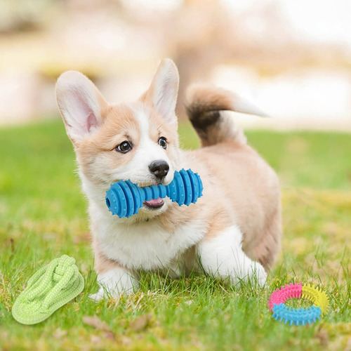 Imagen 5 de 8 de Set 10 Juguetes Para Mascotas, Pelota De Cuerda, Disco Y Más