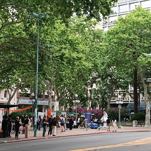 Local 18 De Julio Gran Rentabilidad