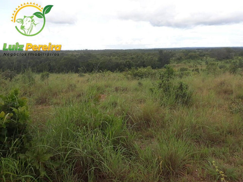 Imagem 3 de 15 de Fazenda À Venda Em Divinópolis - T0 - 1.287,44 Hec (dupla Aptidão) - 1767