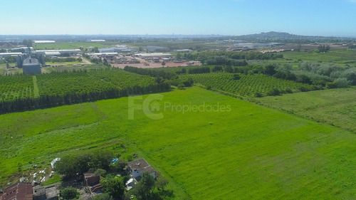Imagen 11 de 21 de Venta Campo 11 Has Rincon Del Cerro Montevideo