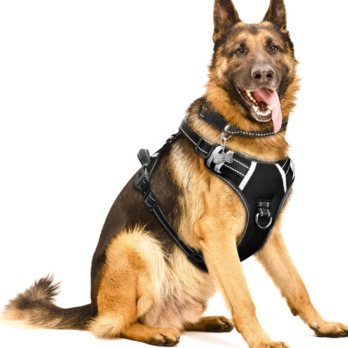 Winsee Arnés Para Perro/mascota No Pull Con Collar De Per...