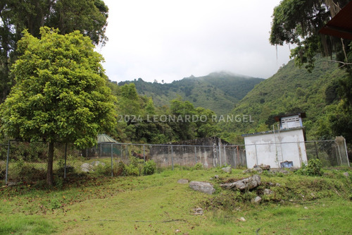 Se Vende Exclusiva Finca De 88 Hectáreas A Puerta Cerrada En Cacute Estado Mérida.