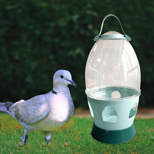 Bebedero De Agua Para Palomas 4l Verde 32.5cmx21cm