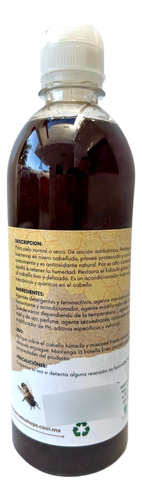 Shampoo De Miel De Abejas Mogote Creative 500 Ml Pack 24