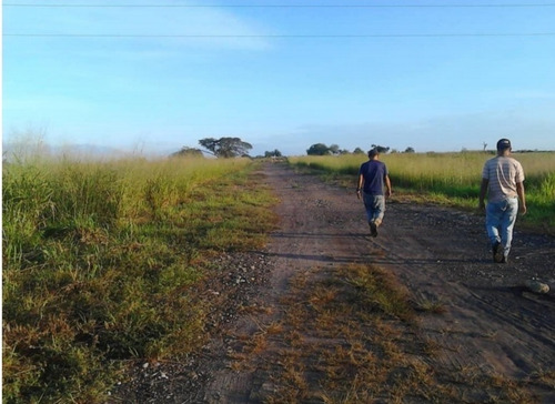 Imagen 30 de 30 de Finca Y Centro Turístico Linda Barinas En Venta
