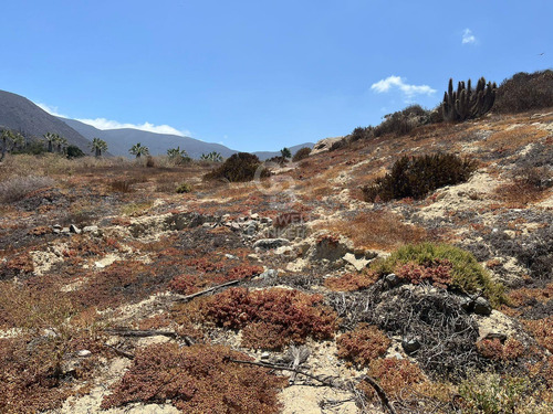 Terreno En Las Tacas Para Desarrollo 6.000m2