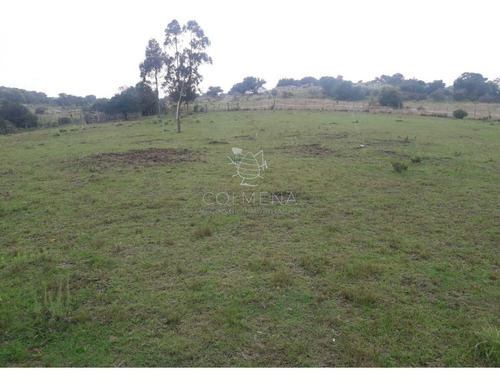 Imagen 4 de 17 de Campo De 15 Has - Consulte !!!!!! - Las Cañas