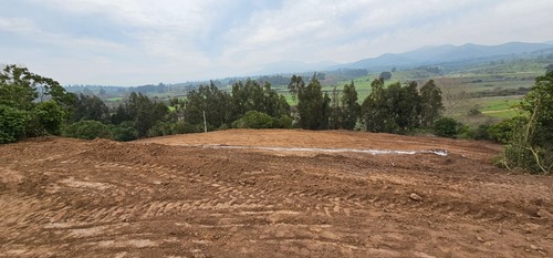 Campo Mar 4, Quintero