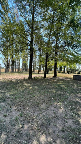 Imagen 10 de 19 de Campo En San Andres De Giles