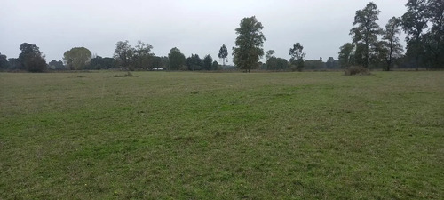 Parcela Agrícola De 4,7 Ha En Purranque-frutillar