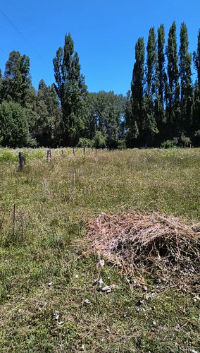 Venta De Parcelas, Fundo Del Itata, Campanario Yungay