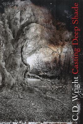 Libro Casting Deep Shade : An Amble - C. D. Wright