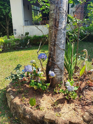 Chácaras À Venda Em Bom Jesus Dos Perdões/sp - Compre O Seu Chácaras Aqui! - 1473585