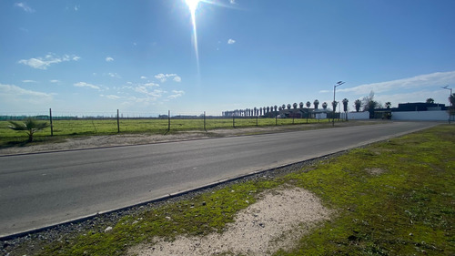 Condominio Camino Real - Olivar