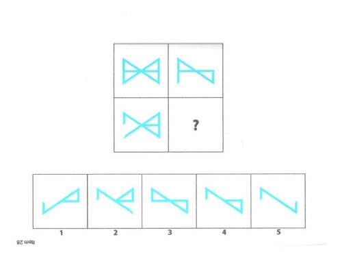 Test Wisc V 5 Escala De Inteligencia De Wechsler