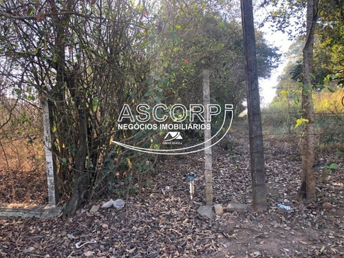 Imagem 13 de 22 de Ótimo Terreno Para Chácara No Ondinhas Em Piracicaba (código Ch00043) - Ch00043 - 69881080