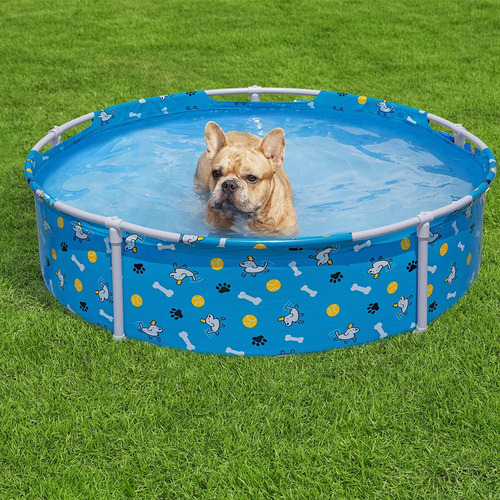 Alberca Para Mascotas Pscina Estructural Bestway Fetchin Fun Color Azul
