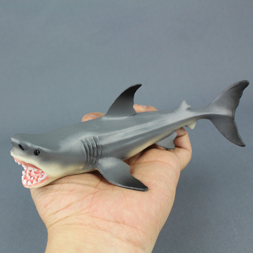 Jj Q Megalodon, Tiburón Prehistórico, Animal Educativo