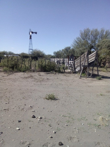 Imagen 10 de 10 de Vendo Campo Ganadero En Carmensa General Alvear Mendoza