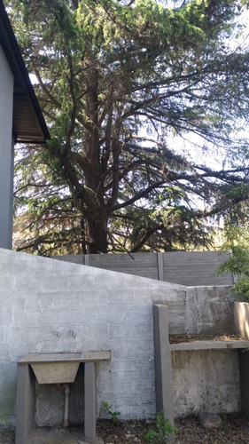 Departamento En Alquiler Monte Grande 3 Ambientes. Ajuste Trimestral Por Ipc