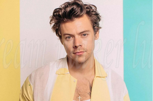 10 Pósters Harry Styles One Direction 