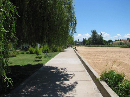 Imagen 5 de 19 de Terreno 1200 M2 Isla Del Este. La Mejor Ubicación
