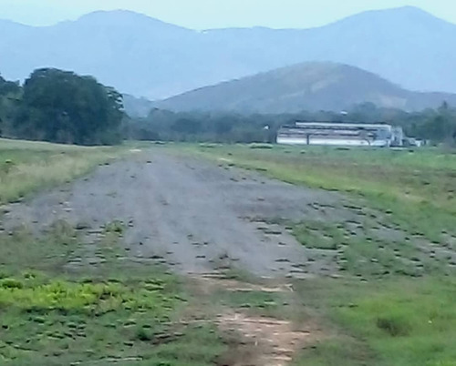 Imagen 2 de 29 de Finca Ganadera Y Agricola En Venta En Bejuma, Edo Carabobo 04121994409
