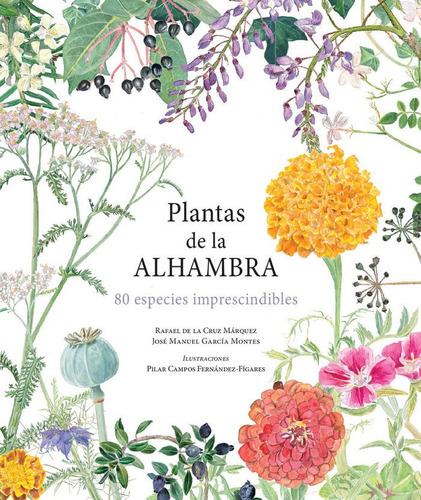 Plantas De La Alhambra, De Aa. Vv.. Editorial Ediciones Miguel Sánchez, Tapa Dura En Español