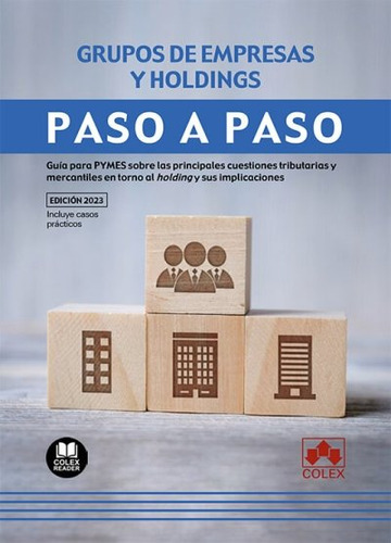 Libro Paso A Paso. Grupos De Empresas Y Holdings - Aa.vv