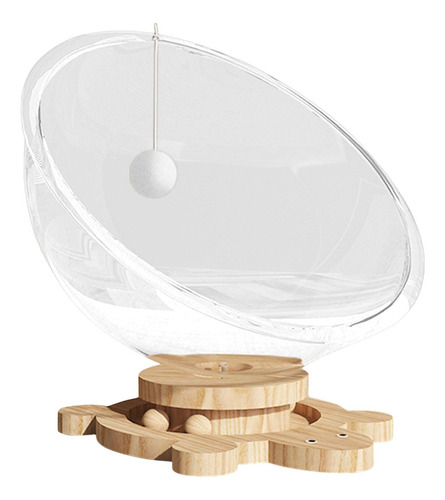 Cama Para Gatos En Cápsula Transparente, Cama Para L