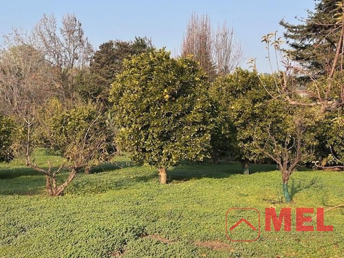 Parcela En Arriendo En Colina