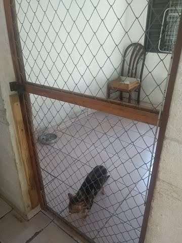 Imagem 11 de 15 de Casa Térrea Para Venda, 2 Dormitório(s) - 10471