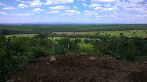 Imagem 11 de 30 de Fazenda De Dupra Aptidão Gado E Carvaõ 722 Hectares Curvelo Mg - 42600