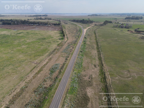 Campo De 104 Has En Venta En Chascomús - Apto Para Desarrollo