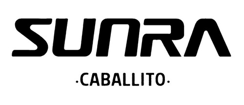 Imagen 15 de 15 de Monopatín Scooter Eléctrico Sunra Spy 1000w Litio 2 Personas